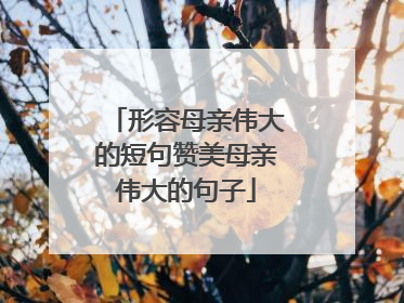 形容母亲伟大的短句赞美母亲伟大的句子