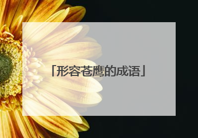 形容苍鹰的成语
