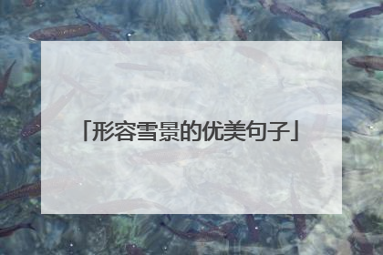 形容雪景的优美句子