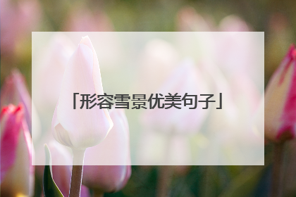 形容雪景优美句子