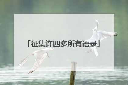 征集许四多所有语录