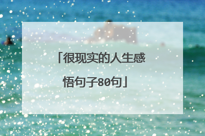 很现实的人生感悟句子80句