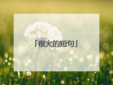 很火的短句