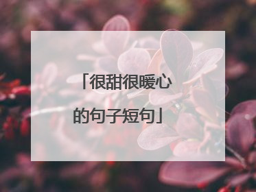 很甜很暖心的句子短句