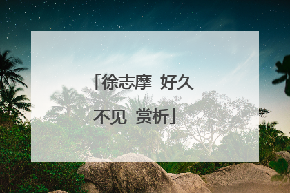 徐志摩 好久不见 赏析
