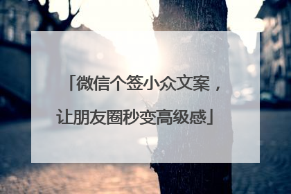微信个签小众文案，让朋友圈秒变高级感