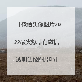 微信头像图片2022最火爆，有微信透明头像图片吗