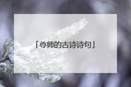 尊师的古诗诗句