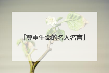 尊重生命的名人名言