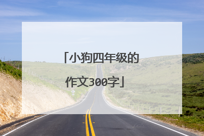 小狗四年级的作文300字