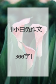 小白兔作文300字