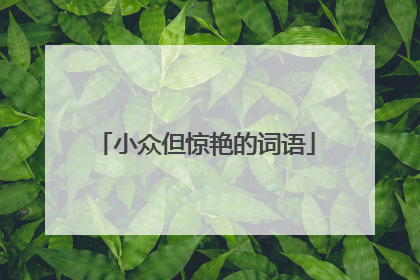 小众但惊艳的词语