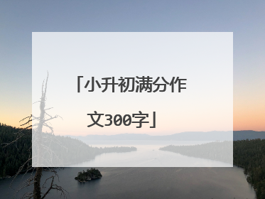 小升初满分作文300字