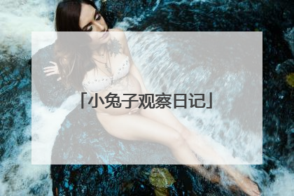 小兔子观察日记