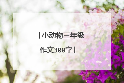 小动物三年级作文300字