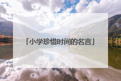 小学珍惜时间的名言