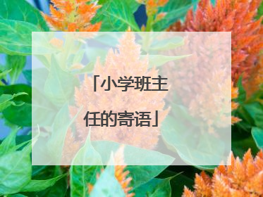 小学班主任的寄语