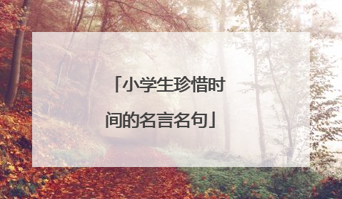 小学生珍惜时间的名言名句