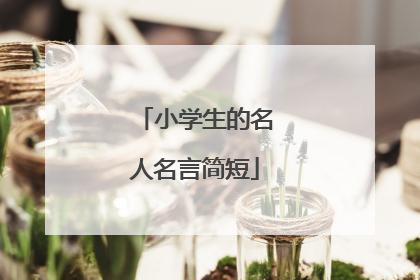 小学生的名人名言简短