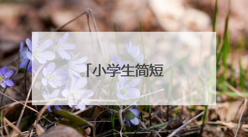 小学生简短自我评价