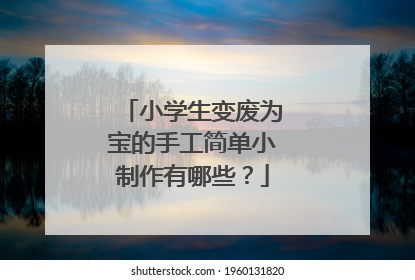 小学生变废为宝的手工简单小制作有哪些？