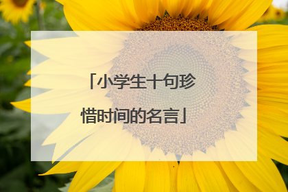 小学生十句珍惜时间的名言