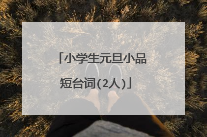 小学生元旦小品短台词(2人)