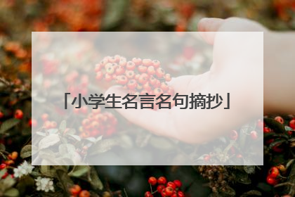 小学生名言名句摘抄