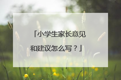 小学生家长意见和建议怎么写？