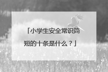 小学生安全常识简短的十条是什么？
