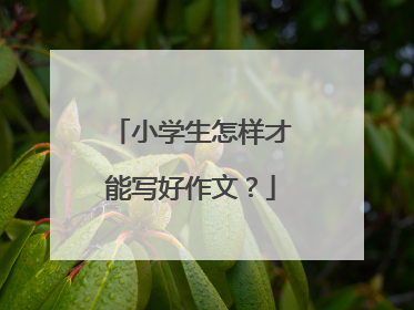 小学生怎样才能写好作文？