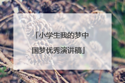 小学生我的梦中国梦优秀演讲稿