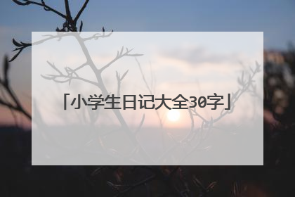 小学生日记大全30字