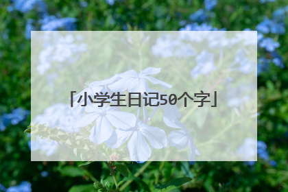 小学生日记50个字
