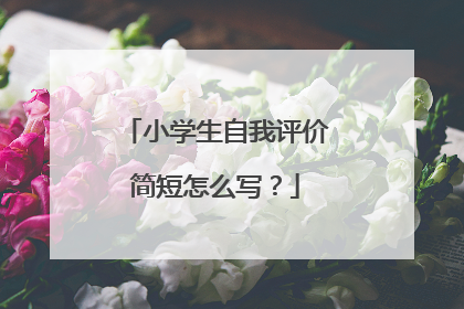 小学生自我评价简短怎么写？