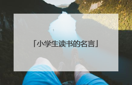 小学生读书的名言