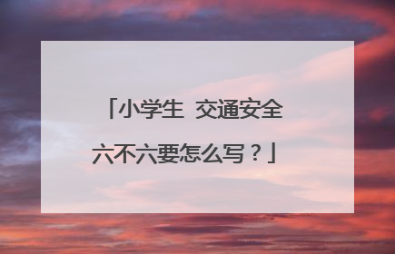 小学生￼交通安全六不六要怎么写？