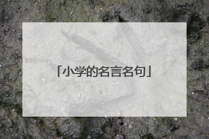 小学的名言名句