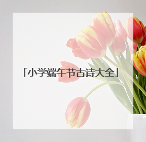 小学端午节古诗大全