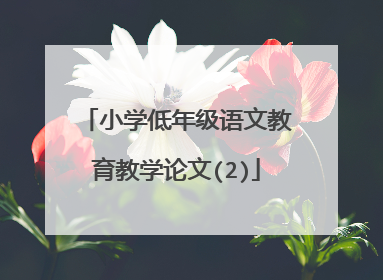 小学低年级语文教育教学论文(2)