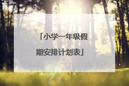 小学一年级假期安排计划表