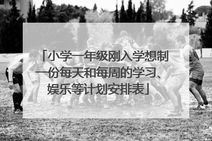 小学一年级刚入学想制一份每天和每周的学习、娱乐等计划安排表