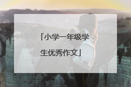小学一年级学生优秀作文