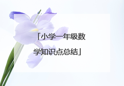 小学一年级数学知识点总结