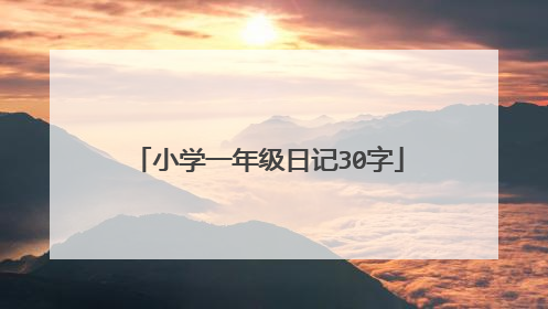 小学一年级日记30字