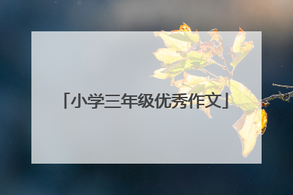 小学三年级优秀作文