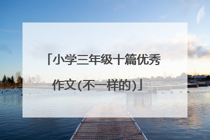 小学三年级十篇优秀作文(不一样的)