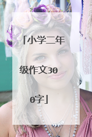 小学二年级作文300字