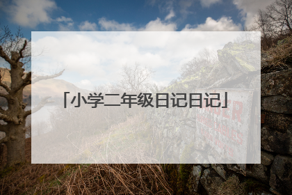 小学二年级日记日记