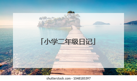 小学二年级日记